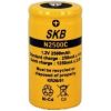 Batteria Ni-Cd C 1,2V 2500 mAh consumer SKB