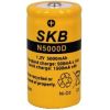 Batteria Ni-Cd Torcia 1,2V 5000 mAh consumer SKB