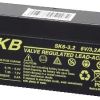 BATTERIA PIOMBO RICARICABILE SKB 6V 3.2Ah FASTON 4.8mm