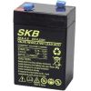 BATTERIA PIOMBO RICARICABILE SKB 6V 4.5Ah FASTON 4.8 mm
