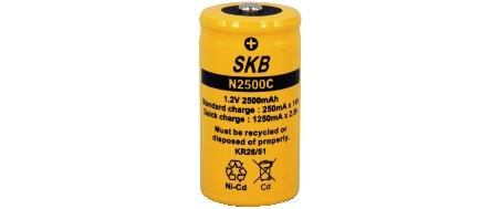 Batteria Ni-Cd C 1,2V 2500 mAh consumer SKB